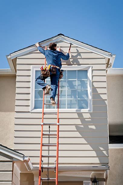 Affordable Siding Repair and Maintenance Services in Dryden, MI